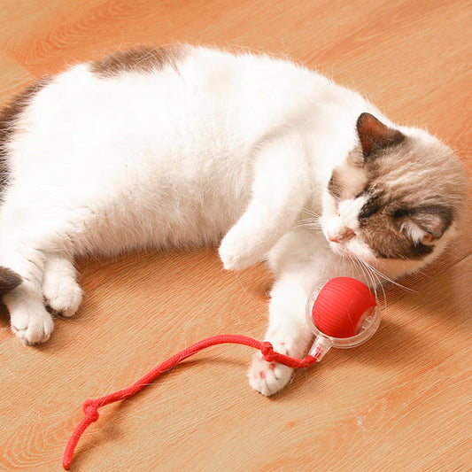 Boule Roulante Automatique Intelligente pour Animaux de Compagnie